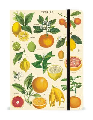 Cavallini & Co Notebook Citrus Print Cover